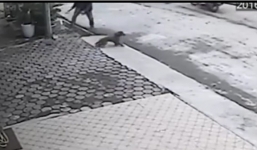 Chủ nhà cầm chổi rượt đuổi 4 tên trộm chó chạy 'mất dép'