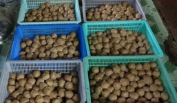 Tiêu hủy hàng trăm kg bò viên làm từ thịt lợn bẩn và phụ gia