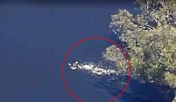 Nghi phạm lao khỏi xe đang chạy, nhảy xuống sông trốn cảnh sát