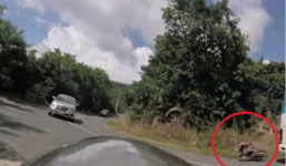 Video: Xe khách ôm cua đâm văng người đi xe máy trên đèo Đà Lạt