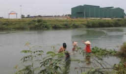 Ngã xuống ao khi bắt ốc, bé gái 10 tuổi nguy kịch