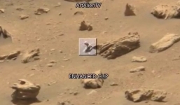 Xuất hiện sinh vật lạ bí ẩn có sừng trên bề mặt sao Hỏa