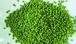 6 lợi ích tuyệt vời của đậu xanh đối với sức khỏe