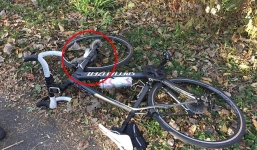 Bị sóc tấn công sau khi cáo buộc loài sóc quấy rối người dân