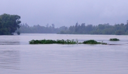 Đi đánh cá, 2 học sinh bị lũ cuốn trôi mất tích