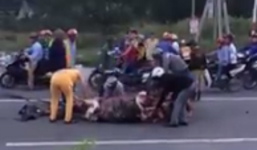 Video: Trâu bị xe tải đâm chết, người dân thi nhau ra...xẻ thịt