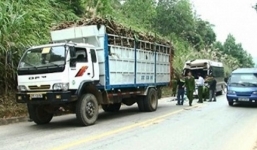 Xe khách đâm xe tải, 11 người bị thương