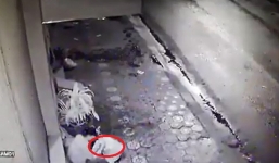 Xúc động clip người đàn ông dọn vệ sinh ăn vội cốc mì thừa bên đống rác