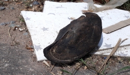 Lời kể nhân chứng vụ trâu bị đâm chết, người dân tranh nhau xẻ thịt