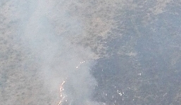 Máy bay chở hơn 40 người rơi ở Pakistan