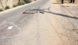 Hỗn chiến tại đám cưới, 1 người chết, 2 người bị thương