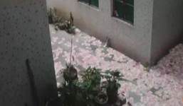 Bí ẩn cơn mưa tiền và hai xác chết ở Trung Quốc