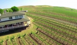 Tận mục sở thị biệt thự triệu đô của tỷ phú gốc Việt Hoàng Kiều