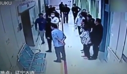 Nhân viên nhà tang lễ tranh nhau việc hỏa táng cho bệnh nhân còn sống