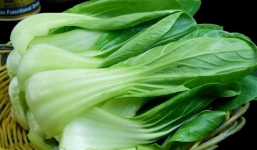 Cải thìa và lợi ích bất ngờ ít người biết