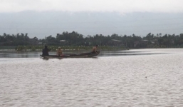 Đưa heo chạy lũ, người đàn ông bị điện giật tử vong