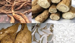 5 bài thuốc chữa bệnh từ sắn dây công hiệu ít người biết