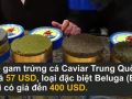 Trứng cá muối Caviar thượng hạng 400 USD/30 gram