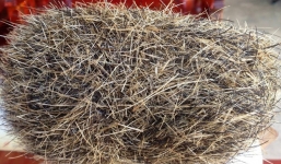 'Cát lợn' trả 3 tỷ không bán ở Nghệ An đang...ế