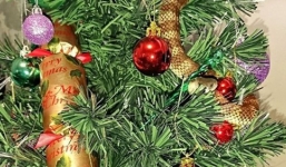 Hốt hoảng phát hiện rắn độc đài 1m uốn lượn trên cây thông Noel