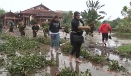 Khách Tây giúp dân Huế dọn dẹp sau mưa lũ