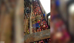 Kinh hoàng cảnh hàng trăm phụ nữ Ấn Độ 'quăng người' lên tàu