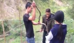 Thanh niên tay không bắt rắn dài 2 mét