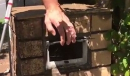 Video: Thò tay vào hòm thư, tá hỏa phát hiện trăn 'khủng'