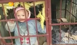 TQ: Bị quấy rầy khi đánh mạt chược, mẹ nhốt con vào chuồng chó gây phẫn nộ