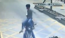 Video: Cái kết đắng cho kẻ trộm điện thoại của cao thủ kungfu