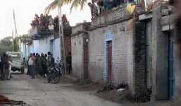 Người dân thất kinh khi sư tử vào làng giết bò giữa ban ngày