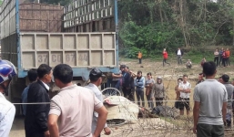 Tin TNGT ngày  21/12: Học sinh lớp 2 tử vong dưới bánh xe tải