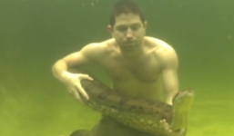 Rùng mình clip rắn khổng lồ quấn quanh người đàn ông