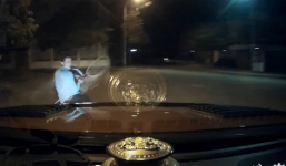 Ô tô truy đuổi 2 tên trộm mèo, bắt chó như phim hành động