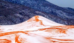 Hình ảnh tuyết rơi trên sa mạc Sahara khiến mọi người trầm trồ