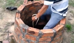 Video: Nhảy xuống giếng, dùng tay không bắt rắn khủng dài 2m