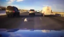 Chú chó thoát chết thần kì khi bị rơi từ ôtô xuống đường cao tốc