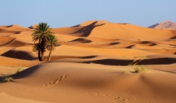 Những sự thật thú vị về sa mạc Sahara