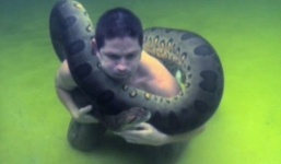Trăn anaconda 'khủng' quấn quanh cổ người đàn ông dưới nước