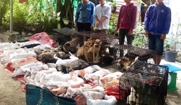 Tạm giữ 6 nghi phạm bắt trộm 47 con chó trong 1 đêm
