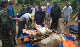 Vụ nổ súng khiến 3 người chết ở Đắk Nông : Bắt tạm giam GĐ công ty Long Sơn