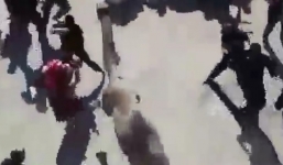 Lạc đà nổi điên tấn công đám đông khi bị bắt 