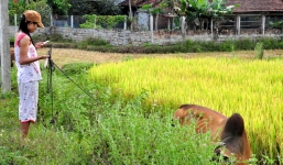 Nghi án bé gái bị bắt cóc khi đi chăn bò ở Quảng Nam