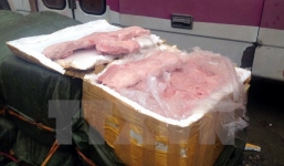 Hà Nội chặn đứng hơn 1 tấn nầm lợn không rõ nguồn gốc sắp tiêu thụ