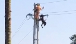 Video: Thi thể cháy đen mắc trên cột điện ở Hà Nam
