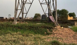 Hà Nội: Phát hiện xác chết lõa thể giữa cánh đồng