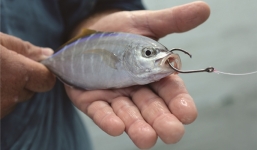 7 mẹo vặt hữu ích giúp bạn sống sót  trong nhiều hoàn cảnh