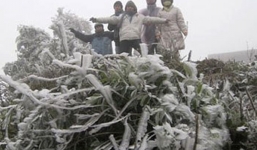 Sa Pa rét 4 độ C, băng giá phủ trắng dãy Hoàng Liên Sơn