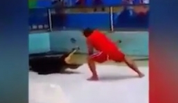 Huấn luyện viên bị cá sấu tấn công, ngoạm cánh tay