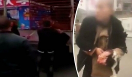 Người đàn ông bị cắn trọng thương khi cho tay vào chuồng vuốt hổ